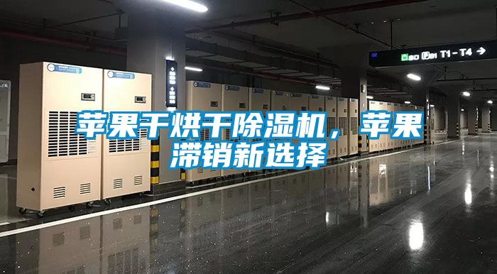 蘋果干烘干除濕機，蘋果滯銷新選擇