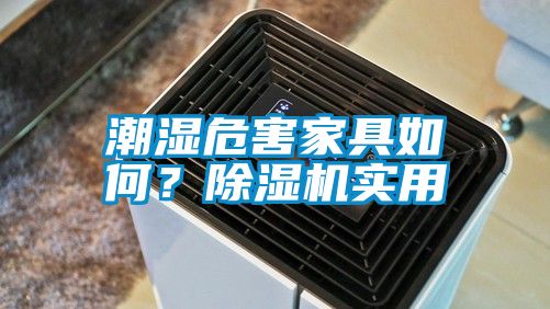 潮濕危害家具如何？除濕機(jī)實(shí)用