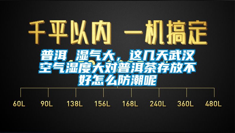 普洱 濕氣大，這幾天武漢空氣濕度大對普洱茶存放不好怎么防潮呢