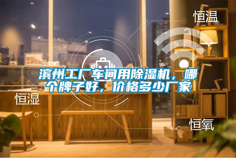 濱州工廠車間用除濕機，哪個牌子好，價格多少廠家