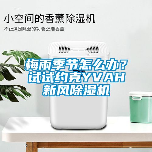 梅雨季節(jié)怎么辦？試試約克YVAH新風除濕機