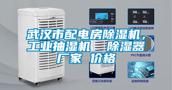 武漢市配電房除濕機，工業(yè)抽濕機  除濕器廠家 價格