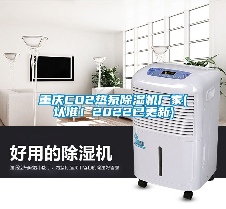 重慶CO2熱泵除濕機(jī)廠家(認(rèn)準(zhǔn)！2022已更新)