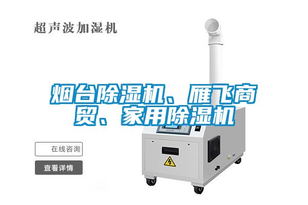 煙臺除濕機、雁飛商貿(mào)、家用除濕機