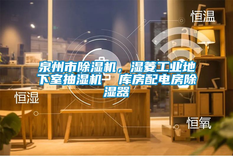 泉州市除濕機，濕菱工業(yè)地下室抽濕機  庫房配電房除濕器