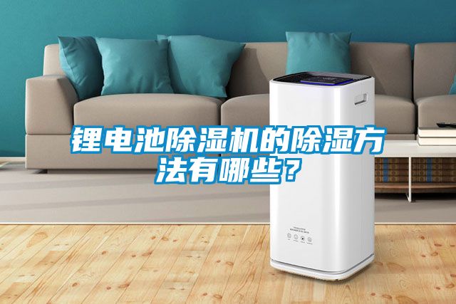 鋰電池除濕機的除濕方法有哪些？