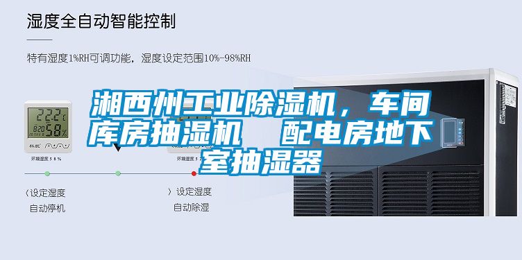 湘西州工業(yè)除濕機，車間庫房抽濕機  配電房地下室抽濕器