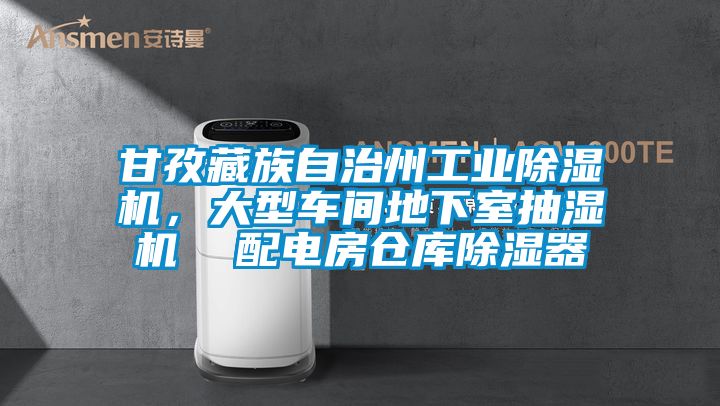 甘孜藏族自治州工業(yè)除濕機，大型車間地下室抽濕機  配電房倉庫除濕器