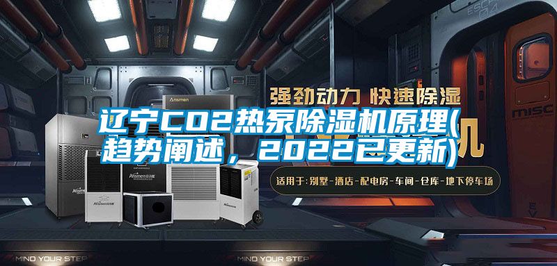 遼寧CO2熱泵除濕機原理(趨勢闡述，2022已更新)