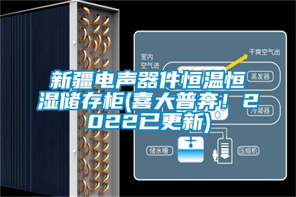 新疆電聲器件恒溫恒濕儲(chǔ)存柜(喜大普奔！2022已更新)