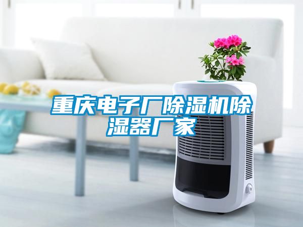 重慶電子廠除濕機(jī)除濕器廠家