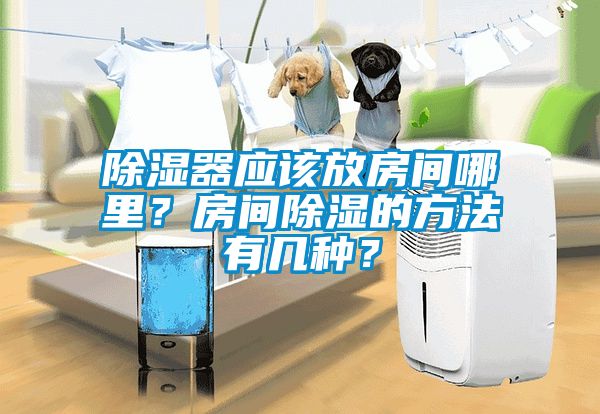 除濕器應(yīng)該放房間哪里？房間除濕的方法有幾種？