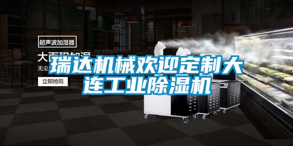 瑞達機械歡迎定制大連工業(yè)除濕機