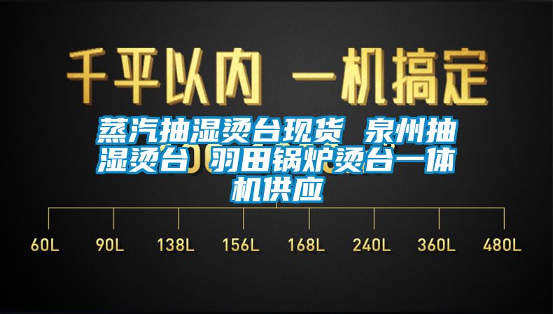 蒸汽抽濕燙臺現(xiàn)貨 泉州抽濕燙臺 羽田鍋爐燙臺一體機供應