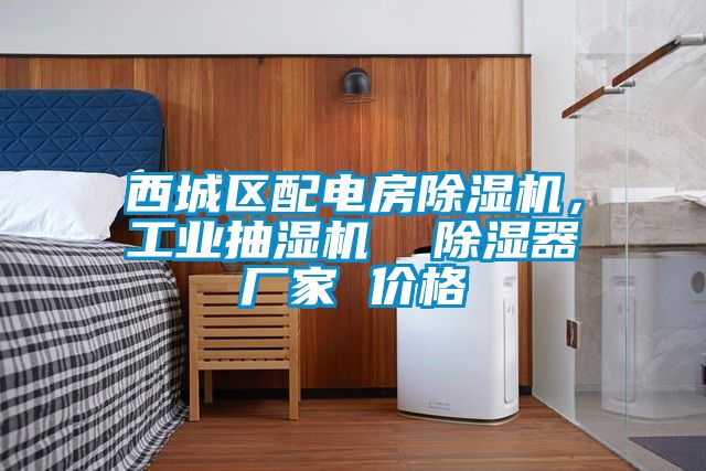 西城區(qū)配電房除濕機，工業(yè)抽濕機  除濕器廠家 價格