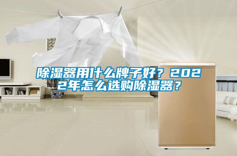 除濕器用什么牌子好？2022年怎么選購除濕器？