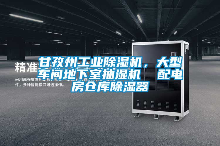 甘孜州工業(yè)除濕機，大型車間地下室抽濕機  配電房倉庫除濕器