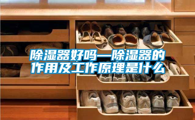 除濕器好嗎—除濕器的作用及工作原理是什么