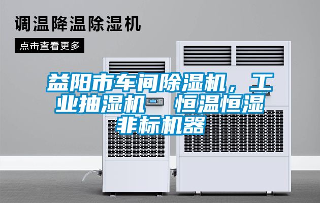 益陽市車間除濕機，工業(yè)抽濕機  恒溫恒濕非標機器