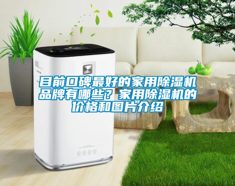 目前口碑最好的家用除濕機品牌有哪些？家用除濕機的價格和圖片介紹