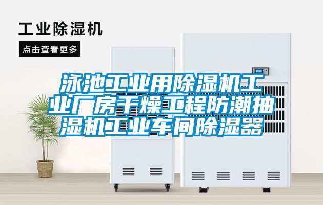 泳池工業(yè)用除濕機工業(yè)廠房干燥工程防潮抽濕機工業(yè)車間除濕器