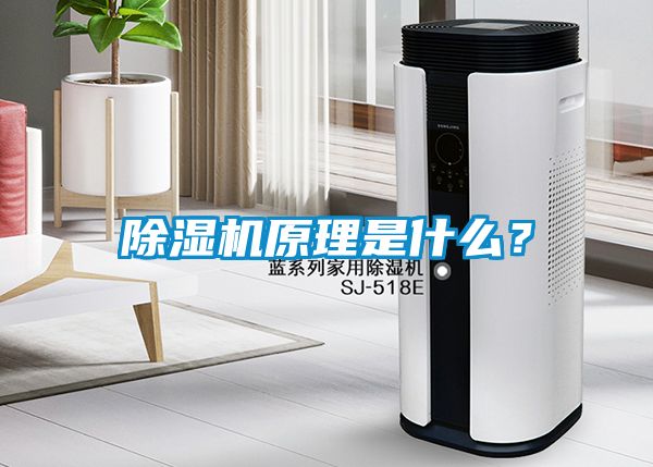 除濕機(jī)原理是什么？