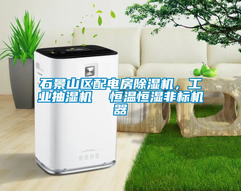 石景山區(qū)配電房除濕機(jī)，工業(yè)抽濕機(jī)  恒溫恒濕非標(biāo)機(jī)器