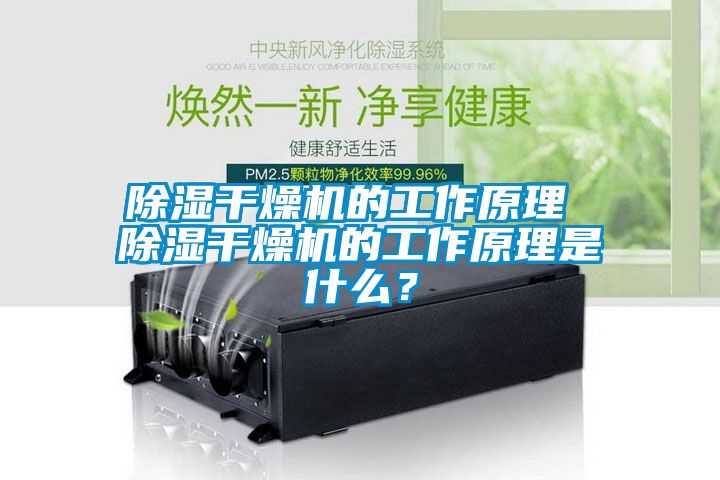 除濕干燥機(jī)的工作原理 除濕干燥機(jī)的工作原理是什么？