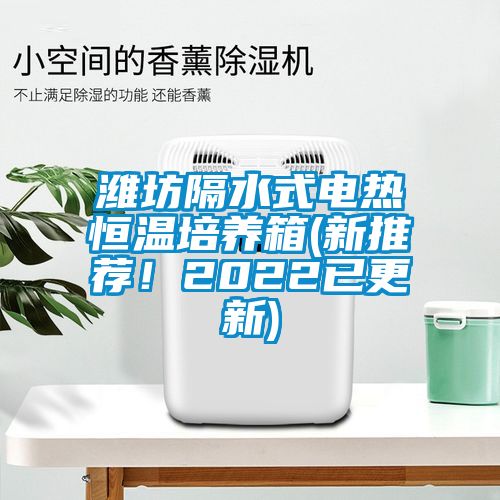 濰坊隔水式電熱恒溫培養(yǎng)箱(新推薦！2022已更新)