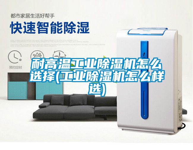 耐高溫工業(yè)除濕機(jī)怎么選擇(工業(yè)除濕機(jī)怎么樣選)