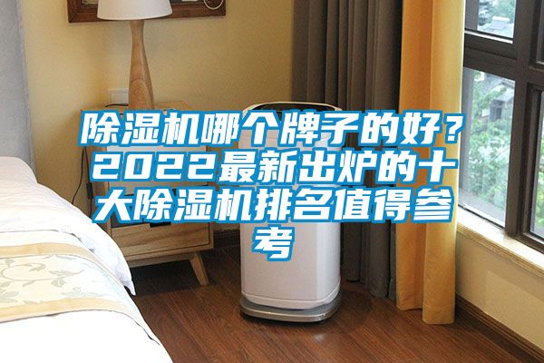 除濕機哪個牌子的好？2022最新出爐的十大除濕機排名值得參考