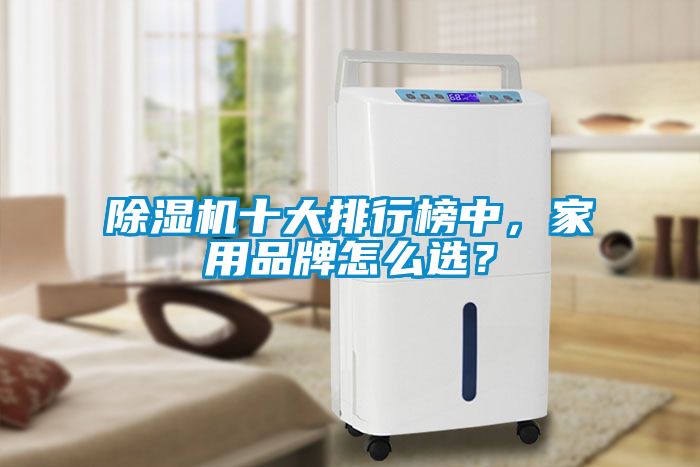 除濕機(jī)十大排行榜中，家用品牌怎么選？