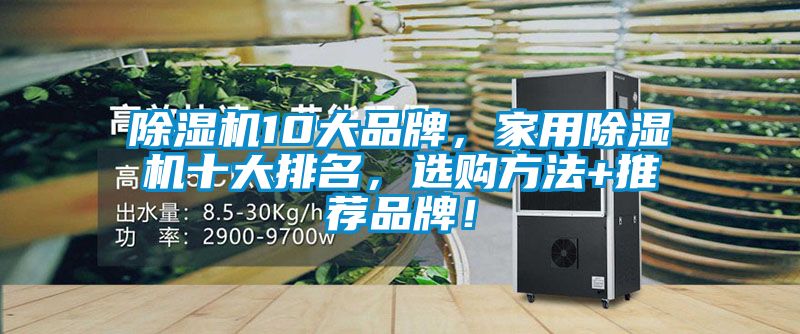 除濕機10大品牌，家用除濕機十大排名，選購方法+推薦品牌！