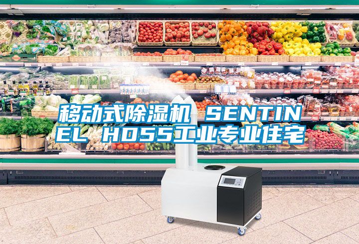 移動(dòng)式除濕機(jī) SENTINEL HD55工業(yè)專業(yè)住宅