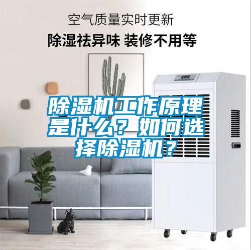 除濕機(jī)工作原理是什么？如何選擇除濕機(jī)？