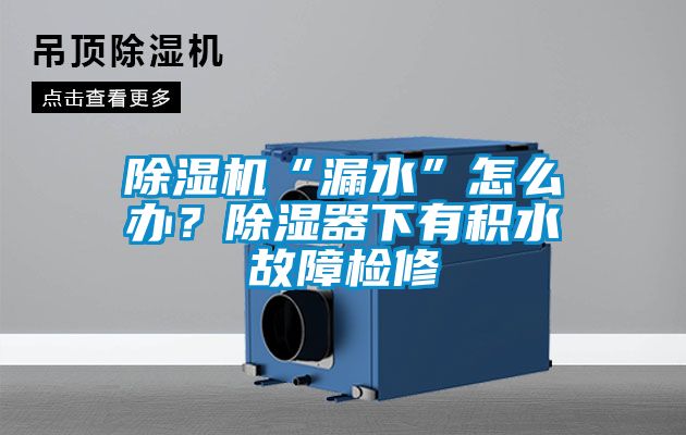 除濕機“漏水”怎么辦？除濕器下有積水故障檢修