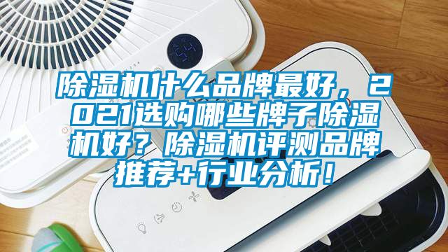 除濕機(jī)什么品牌最好，2021選購哪些牌子除濕機(jī)好？除濕機(jī)評(píng)測(cè)品牌推薦+行業(yè)分析！