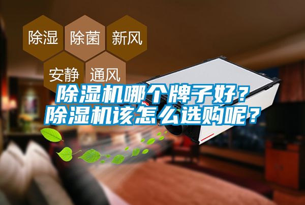 除濕機哪個牌子好？除濕機該怎么選購呢？