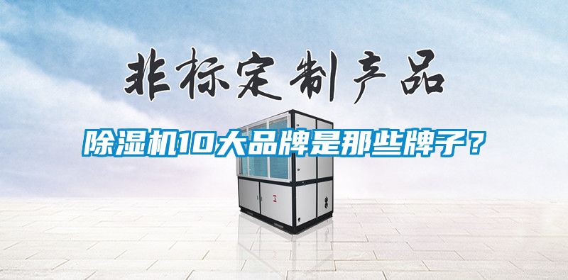 除濕機10大品牌是那些牌子？