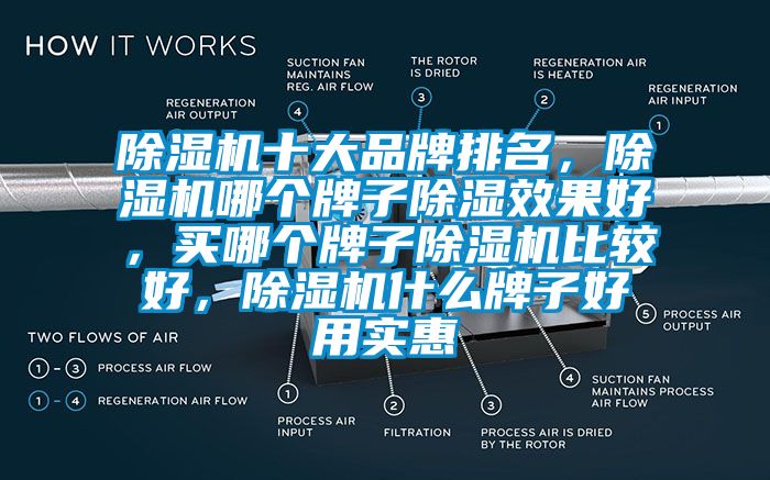 除濕機(jī)十大品牌排名，除濕機(jī)哪個(gè)牌子除濕效果好，買哪個(gè)牌子除濕機(jī)比較好，除濕機(jī)什么牌子好用實(shí)惠