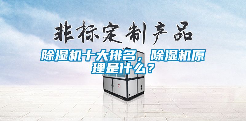 除濕機十大排名，除濕機原理是什么？