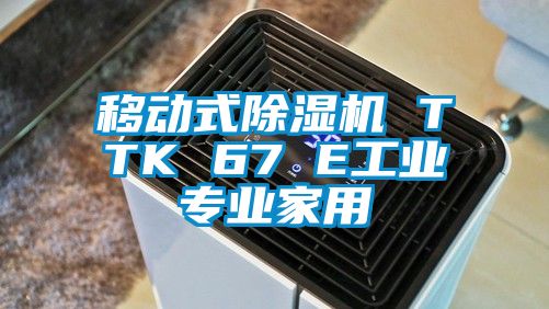 移動式除濕機 TTK 67 E工業(yè)專業(yè)家用