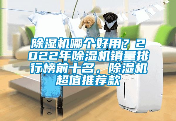 除濕機哪個好用？2022年除濕機銷量排行榜前十名，除濕機超值推薦款