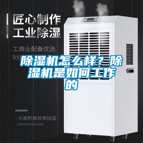 除濕機(jī)怎么樣？除濕機(jī)是如何工作的