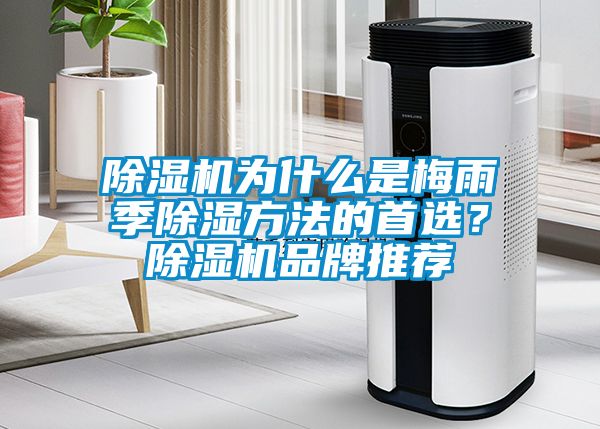 除濕機為什么是梅雨季除濕方法的首選？除濕機品牌推薦