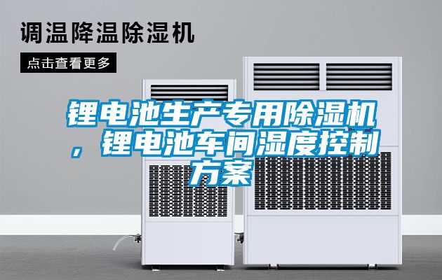 鋰電池生產(chǎn)專用除濕機(jī)，鋰電池車間濕度控制方案