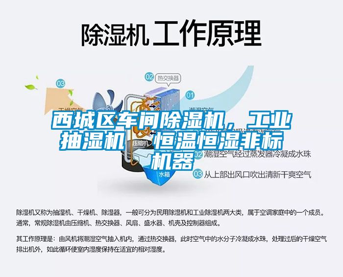 西城區(qū)車(chē)間除濕機(jī)，工業(yè)抽濕機(jī)  恒溫恒濕非標(biāo)機(jī)器