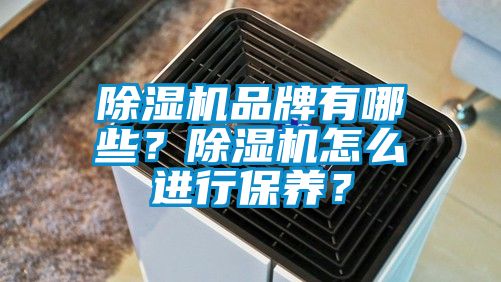 除濕機品牌有哪些？除濕機怎么進行保養(yǎng)？