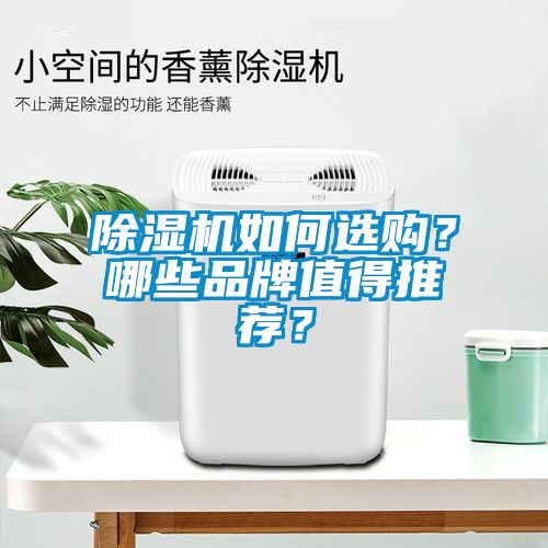 除濕機如何選購？哪些品牌值得推薦？