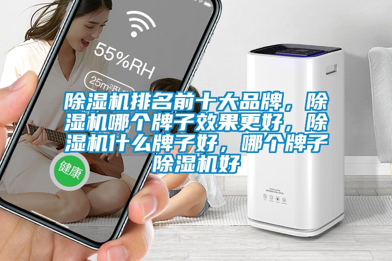 除濕機排名前十大品牌，除濕機哪個牌子效果更好，除濕機什么牌子好，哪個牌子除濕機好